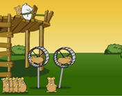 hamsters - 